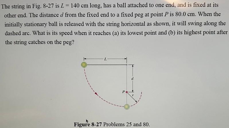 The string in Fig. 8-27 is L = 140 cm long, has a ball attached to one end, and is fixed at its other end. The distance d from the fixed end to a fixed peg at point P is 80.0 cm. When the initially stationary ball is released with the string horizontal as shown, it will swing along the dashed arc. What is its speed when it reaches (a) its lowest point and (b) its highest point after the string catches on the peg? Figure 8-27 Problems 25 and 80 . 