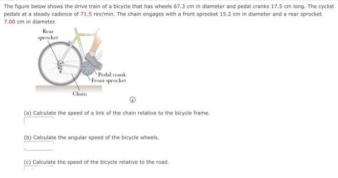 The figure below shows the drive train of a bicycle that has wheels 67.3 cm in diameter and pedal cranks 17.5 cm long. The cyclist pedals at a steady cadence of 71.5 rev/min. The chain engages with a front sprocket 15.2 cm in diameter and a rear sprocket 7.00 cm in diameter. (1) (a) Calculate the speed of a link of the chain relative to the bicycle frame. (b) Calculate the angular speed of the bicycle wheels. (c) Calculate the speed of the bicycle relative to the road.