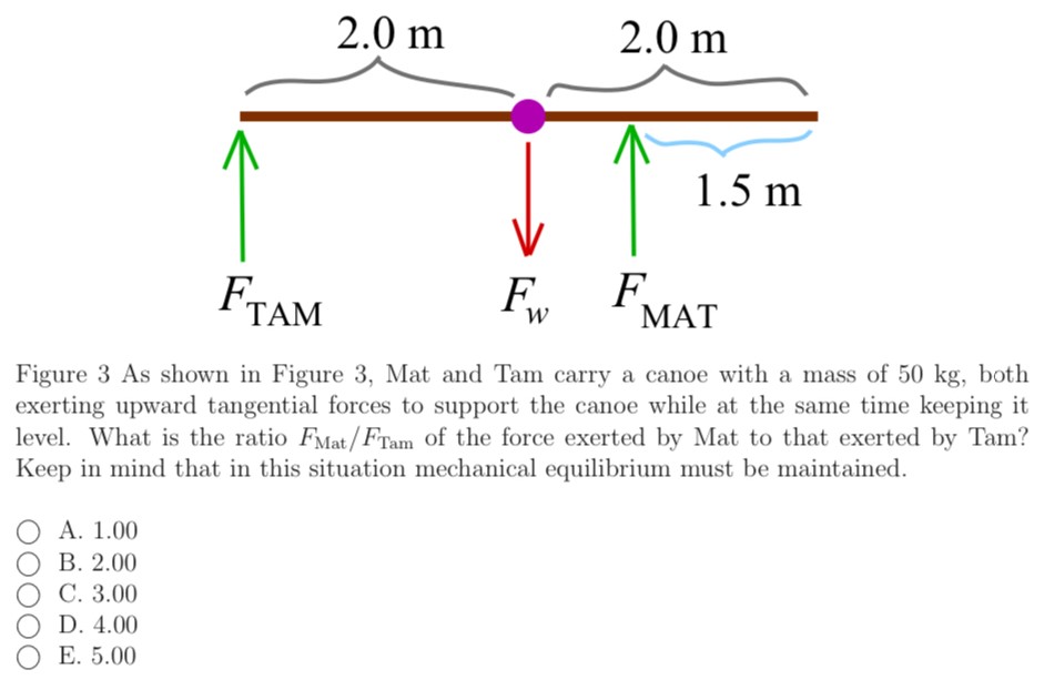 Figure 3 As shown in Figure 3, Mat and Tam carry a canoe with a mass of 50 kg, both exerting upward tangential forces to support the canoe while at the same time keeping it level. What is the ratio FMat/FTam of the force exerted by Mat to that exerted by Tam? Keep in mind that in this situation mechanical equilibrium must be maintained. A. 1.00 B. 2.00 C. 3.00 D. 4.00 E. 5.00