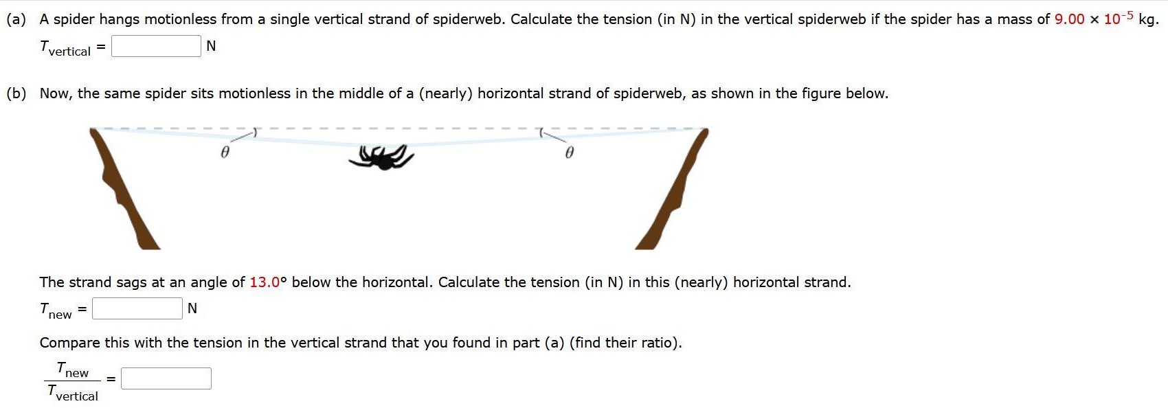 (a) A spider hangs motionless from a single vertical strand of spiderweb. Calculate the tension (in N) in the vertical spiderweb if the spider has a mass of 9.00×10−5 kg. Tvertical = N (b) Now, the same spider sits motionless in the middle of a (nearly) horizontal strand of spiderweb, as shown in the figure below. The strand sags at an angle of 13.0∘ below the horizontal. Calculate the tension (in N) in this (nearly) horizontal strand. Tnew = N Compare this with the tension in the vertical strand that you found in part (a) (find their ratio). Tnew Tvertical =