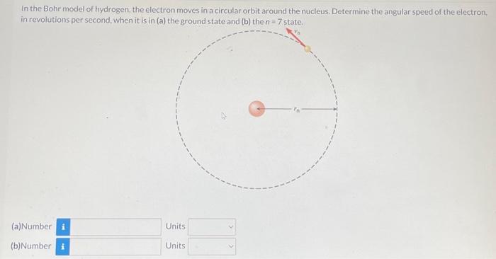 In the Bohr model of hydrogen, the electron moves in a circular orbit around the nucleus. Determine the angular speed of the electron, in revolutions per second when it is in (a) the ground state and (b) the n = 7 state. (a) Number Units (b)Number Units