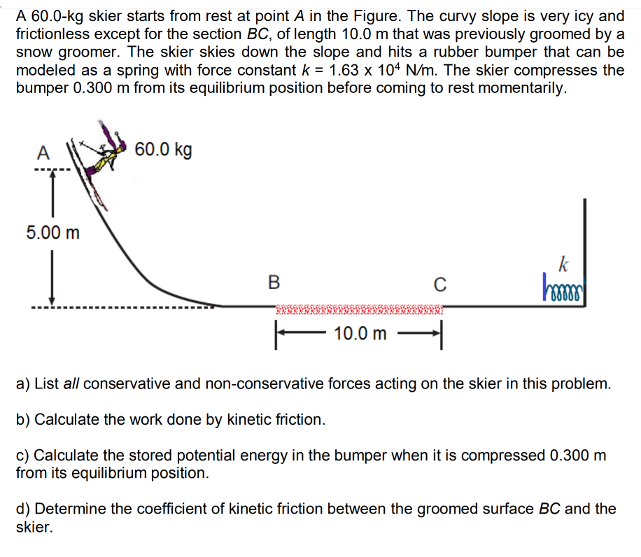 A 60.0 -kg skier starts from rest at point A in the Figure. The curvy slope is very icy and frictionless except for the section BC, of length 10.0 m that was previously groomed by a snow groomer. The skier skies down the slope and hits a rubber bumper that can be modeled as a spring with force constant k = 1.63×104 N/m. The skier compresses the bumper 0.300 m from its equilibrium position before coming to rest momentarily. a) List all conservative and non-conservative forces acting on the skier in this problem. b) Calculate the work done by kinetic friction. c) Calculate the stored potential energy in the bumper when it is compressed 0.300 m from its equilibrium position. d) Determine the coefficient of kinetic friction between the groomed surface BC and the skier.