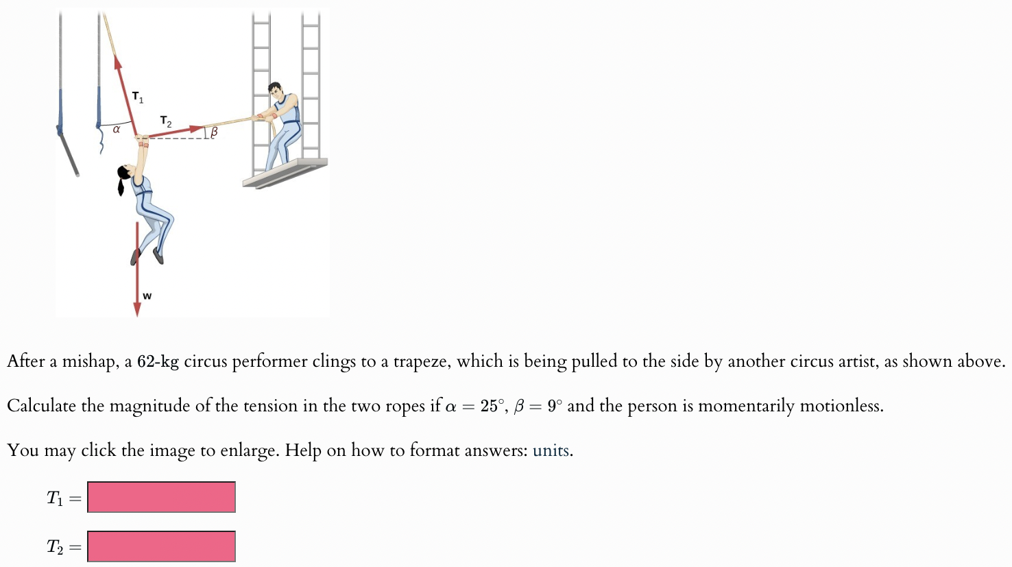 After a mishap, a 62-kg circus performer clings to a trapeze, which is being pulled to the side by another circus artist, as shown above. Calculate the magnitude of the tension in the two ropes if α = 25∘, β = 9∘ and the person is momentarily motionless. You may click the image to enlarge. Help on how to format answers: units. T1 = T2 =