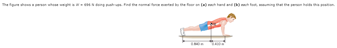 The figure shows a person whose weight is W = 696 N doing push-ups. Find the normal force exerted by the floor on (a) each hand and (b) each foot, assuming that the person holds this position.