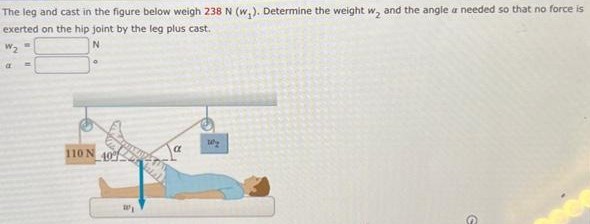 The leg and cast in the figure below weigh 238 N(w1). Determine the weight w2 and the angle a needed so that no force is exerted on the hip joint by the leg plus cast. w2 = N a = ∘