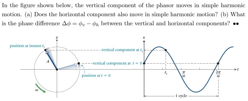 In the figure shown below, the vertical component of the phasor moves in simple harmonic motion. (a) Does the horizontal component also move in simple harmonic motion? (b) What is the phase difference Δϕ = ϕv − ϕh between the vertical and horizontal components?