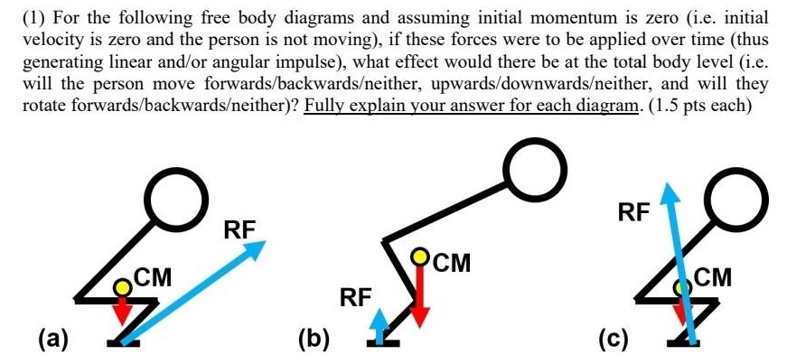 (1) For the following free body diagrams and assuming initial momentum is zero (i. e. initial velocity is zero and the person is not moving), if these forces were to be applied over time (thus generating linear and/or angular impulse), what effect would there be at the total body level (i. e. will the person move forwards/backwards/neither, upwards/downwards/neither, and will they rotate forwards/backwards/neither)? Fully explain your answer for each diagram. (1.5 pts each) (a) (b) (c)