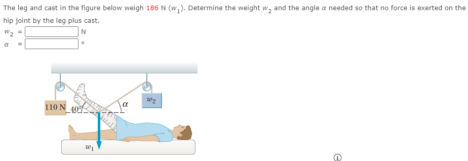 The leg and cast in the figure below weigh 186 N(w1). Determine the weight w2 and the angle α needed so that no force is exerted on the hip joint by the leg plus cast. w2 = N α =