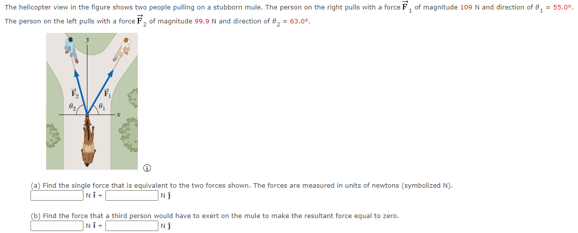 The helicopter view in the figure shows two people pulling on a stubborn mule. The person on the right pulls with a force F→1 of magnitude 109 N and direction of θ1 = 55.0∘. The person on the left pulls with a force F→2 of magnitude 99.9 N and direction of θ2 = 63.0∘. (i) (a) Find the single force that is equivalent to the two forces shown. The forces are measured in units of newtons (symbolized N ). N i^ + N j^ (b) Find the force that a third person would have to exert on the mule to make the resultant force equal to zero. N i^ + N j^