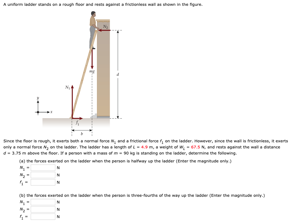 A uniform ladder stands on a rough floor and rests against a frictionless wall as shown in the figure. Since the floor is rough, it exerts both a normal force N1 and a frictional force f1 on the ladder. However, since the wall is frictionless, it exerts only a normal force N2 on the ladder. The ladder has a length of L = 4.9 m, a weight of WL = 67.5 N, and rests against the wall a distance d = 3.75 m above the floor. If a person with a mass of m = 90 kg is standing on the ladder, determine the following. (a) the forces exerted on the ladder when the person is halfway up the ladder (Enter the magnitude only.) N1 = N N2 = N f1 = N (b) the forces exerted on the ladder when the person is three-fourths of the way up the ladder (Enter the magnitude only. ) N1 = N N2 = N f1 = N