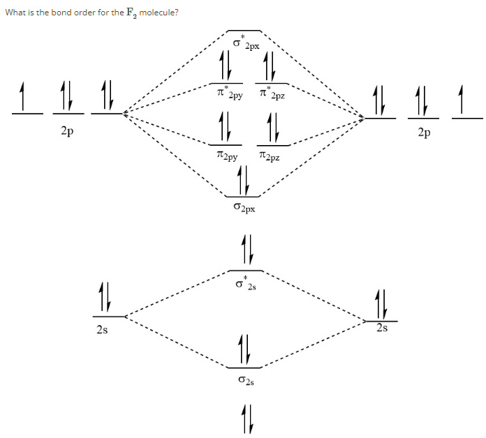 What is the bond order for the F2 molecule? Report your answer as a whole number without any decimal places. Provide your answer below: