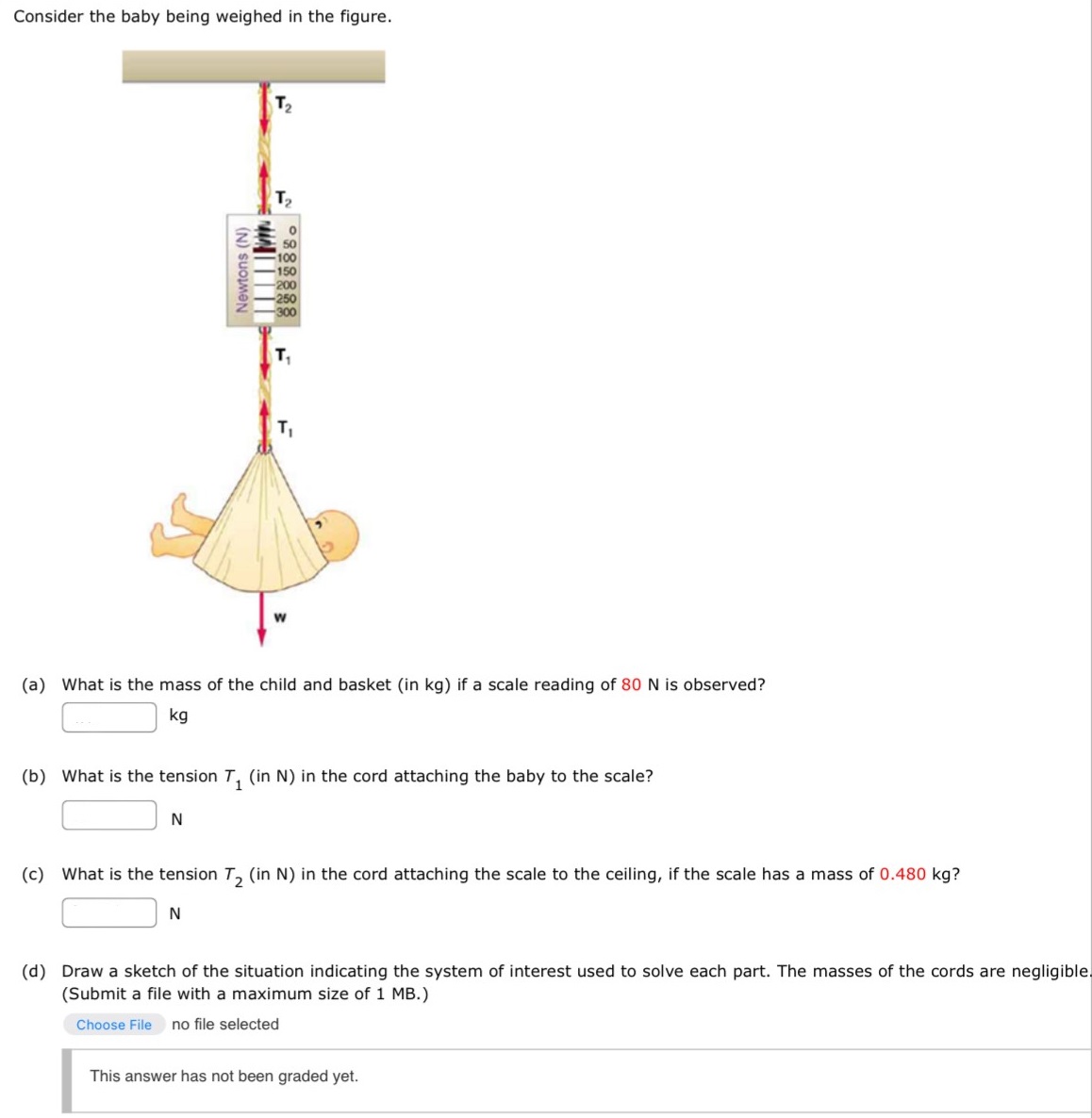 Consider the baby being weighed in the figure. (a) What is the mass of the child and basket (in kg ) if a scale reading of 80 N is observed? kg (b) What is the tension T1 (in N) in the cord attaching the baby to the scale? N (c) What is the tension T2 (in N) in the cord attaching the scale to the ceiling, if the scale has a mass of 0.480 kg? N (d) Draw a sketch of the situation indicating the system of interest used to solve each part. The masses of the cords are negligible. (Submit a file with a maximum size of 1 MB.) Choose File no file selected This answer has not been graded yet.