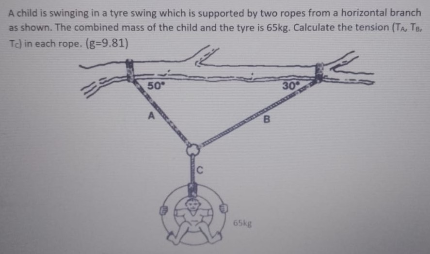 A child is swinging in a tyre swing which is supported by two ropes from a horizontal branch as shown. The combined mass of the child and the tyre is 65 kg. Calculate the tension (TA, TB, TC) in each rope. (g = 9.81)