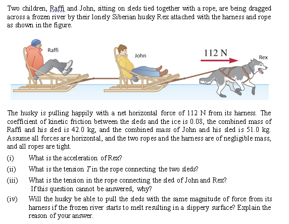 Two children, Raffil and John, sitting on sleds tied together with a rope, are being dragged across a frozen river by their lonely Siberian husky Rex attached with the hamess and rope as shown in the figure. The husky is pulling happily with a net horizontal force of 112 N from its harness. The coefficient of kinetic friction between the sleds and the ice is 0.08, the combined mass of Raffi and his sled is 42.0 kg, and the combined mass of John and his sled is 51.0 kg. Assume all forces are horizontal, and the two ropes and the harness are of negligible mass, and all ropes are tight. (i) What is the acceleration of Rex? (ii) What is the tension T in the rope connecting the two sleds? (iii) What is the tension in the rope connecting the sled of John and Rex? If this question cannot be answered, why? (iv) Will the husky be able to pull the sleds with the same magnitude of force from its harness if the frozen river starts to melt resulting in a slippery surface? Explain the reason of your answer.