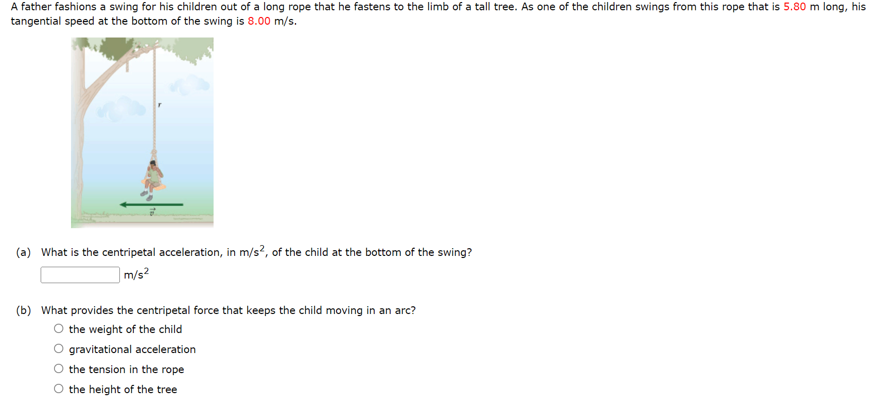 A father fashions a swing for his children out of a long rope that he fastens to the limb of a tall tree. As one of the children swings from this rope that is 5.80 m long, his tangential speed at the bottom of the swing is 8.00 m/s. (a) What is the centripetal acceleration, in m/s2, of the child at the bottom of the swing? m/s2 (b) What provides the centripetal force that keeps the child moving in an arc? the weight of the child gravitational acceleration the tension in the rope the height of the tree