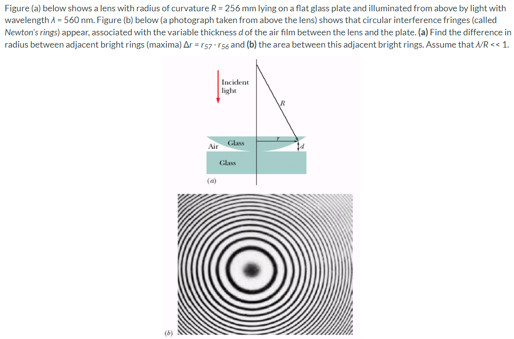 Figure (a) below shows a lens with radius of curvature R = 256 mm lying on a flat glass plate and illuminated from above by light with wavelength λ = 560 nm. Figure (b) below (a photograph taken from above the lens) shows that circular interference fringes (called Newton's rings) appear, associated with the variable thickness d of the air film between the lens and the plate. (a) Find the difference in radius between adjacent bright rings (maxima) Δr = r57 − r56 and (b) the area between this adjacent bright rings. Assume that λ/R < < 1. (a) (b)