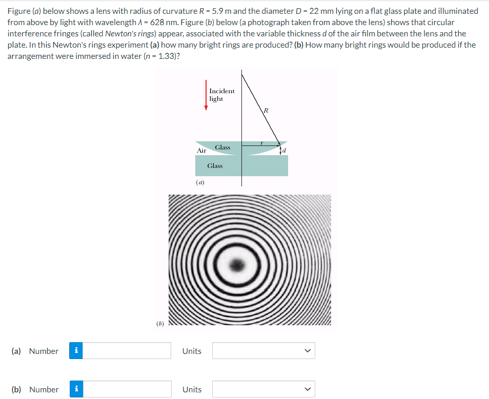 Figure (a) below shows a lens with radius of curvature R = 5.9 m and the diameter D = 22 mm lying on a flat glass plate and illuminated from above by light with wavelength λ = 628 nm. Figure (b) below (a photograph taken from above the lens) shows that circular interference fringes (called Newton's rings) appear, associated with the variable thickness d of the air film between the lens and the plate. In this Newton's rings experiment (a) how many bright rings are produced? (b) How many bright rings would be produced if the arrangement were immersed in water (n = 1.33)? (a) (b) (a) Number Units (b) Number Units