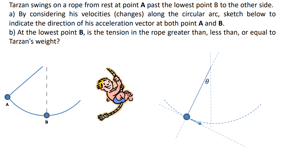 Tarzan swings on a rope from rest at point A past the lowest point B to the other side. a) By considering his velocities (changes) along the circular arc, sketch below to indicate the direction of his acceleration vector at both point A and B. b) At the lowest point B, is the tension in the rope greater than, less than, or equal to Tarzan's weight?