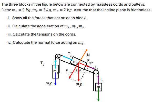 The three blocks in the figure below are connected by massless cords and pulleys. Data: m1 = 5 kg, m2 = 3 kg, m3 = 2 kg. Assume that the incline plane is frictionless. i. Show all the forces that act on each block. ii. Calculate the acceleration of m1, m2, m3. iii. Calculate the tensions on the cords. iv. Calculate the normal force acting on m2.