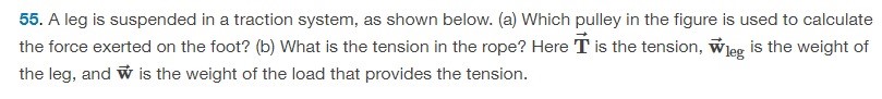A leg is suspended in a traction system, as shown below. (a) Which pulley in the figure is used to calculate the force exerted on the foot? (b) What is the tension in the rope? Here T→ is the tension, w→leg is the weight of the leg, and w→ is the weight of the load that provides the tension. 